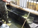 pond cleaning Fetcham