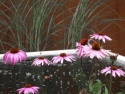 Aluminium pond (18)
