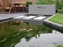 Pond wall