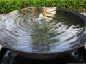 Water bowl (5)